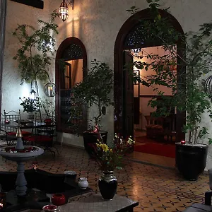 Jomana Riad Marrakesch
